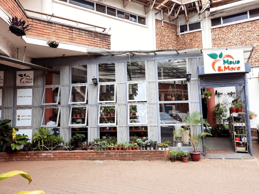 Steel & Glass Custom Fabricated Flower Shop - DeftServe Project