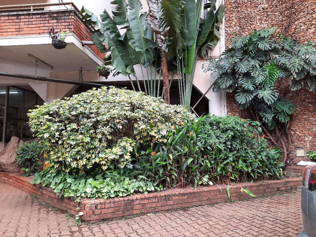 Steel & Glass Custom Fabricated Flower Shop - Image 6